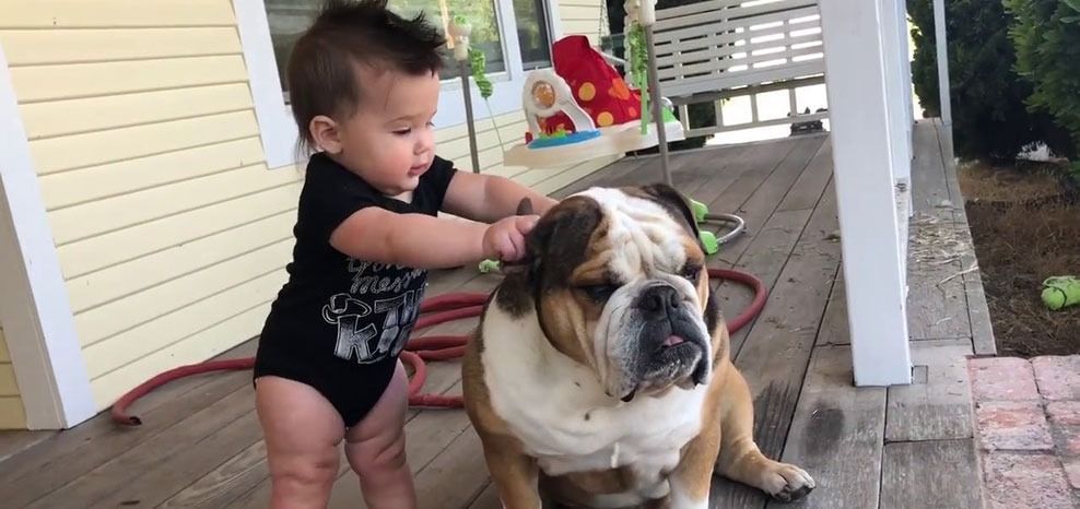 LA LLEGADA DEL BEBÉ CON EL PERRO - SPORTCAN TE AYUDA